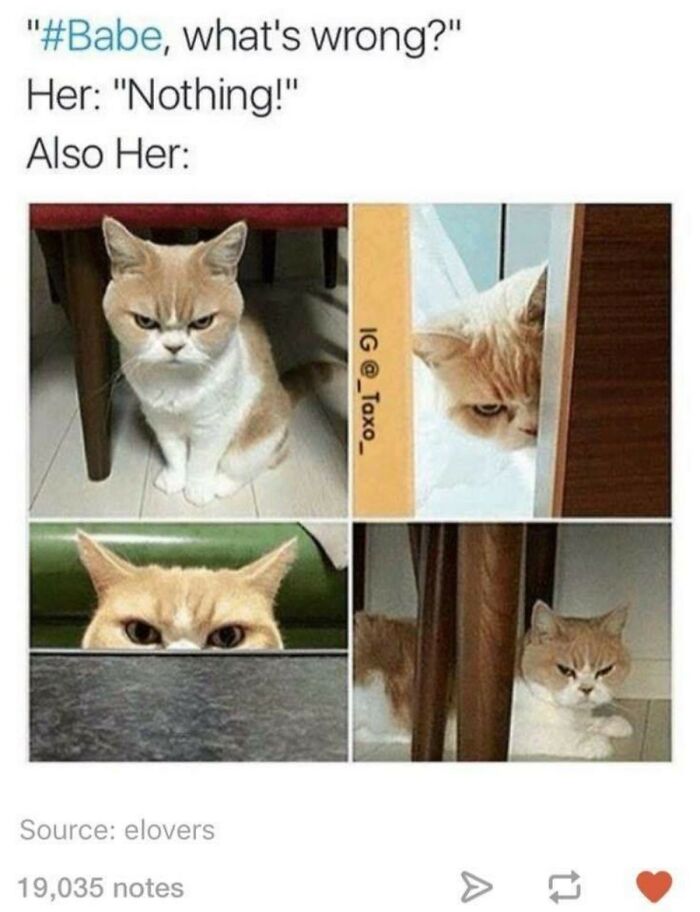 Hey Pandas, I’m New Here, So For Your First Challenge, Post The Most Honest Meme You Can Find (Closed) Hey Pandas, I’m New Here, So For Your First Challenge, Post The Most Honest Meme You Can Find (Closed)