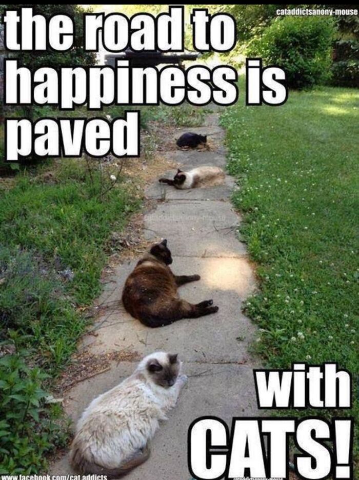 Hey Pandas, I’m New Here, So For Your First Challenge, Post The Most Honest Meme You Can Find (Closed) Hey Pandas, I’m New Here, So For Your First Challenge, Post The Most Honest Meme You Can Find (Closed)