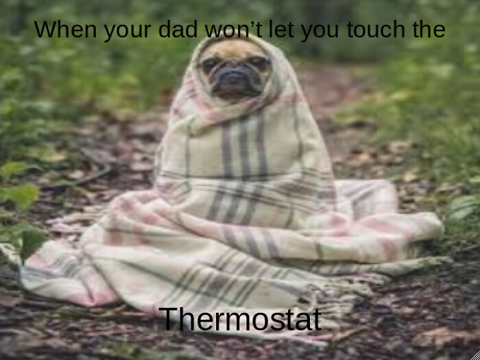 Hey Pandas, I’m New Here, So For Your First Challenge, Post The Most Honest Meme You Can Find (Closed) Hey Pandas, I’m New Here, So For Your First Challenge, Post The Most Honest Meme You Can Find (Closed)