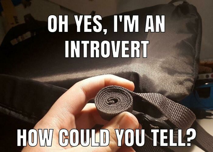 50 Of The Funniest Introvert Memes (New Pics) 50 Of The Funniest Introvert Memes (New Pics)