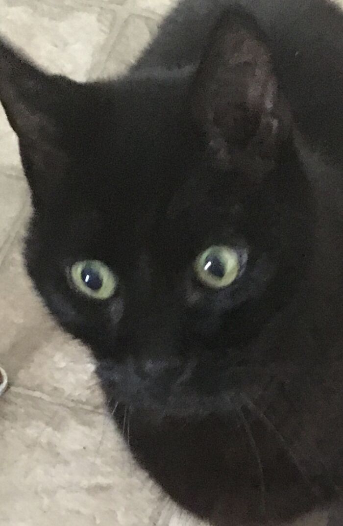 Hey Pandas, What’s The Worst Picture You’ve Taken Of An Animal? (Closed) Hey Pandas, What’s The Worst Picture You’ve Taken Of An Animal? (Closed)