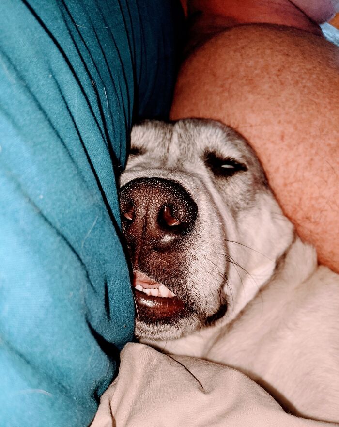 Hey Pandas, What’s The Worst Picture You’ve Taken Of An Animal? (Closed) Hey Pandas, What’s The Worst Picture You’ve Taken Of An Animal? (Closed)