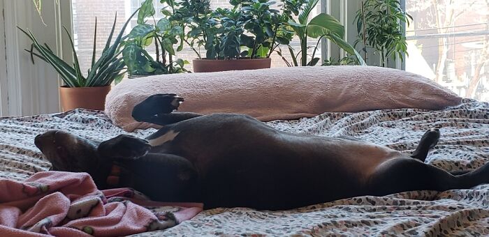 Hey Pandas, What’s The Worst Picture You’ve Taken Of An Animal? (Closed) Hey Pandas, What’s The Worst Picture You’ve Taken Of An Animal? (Closed)