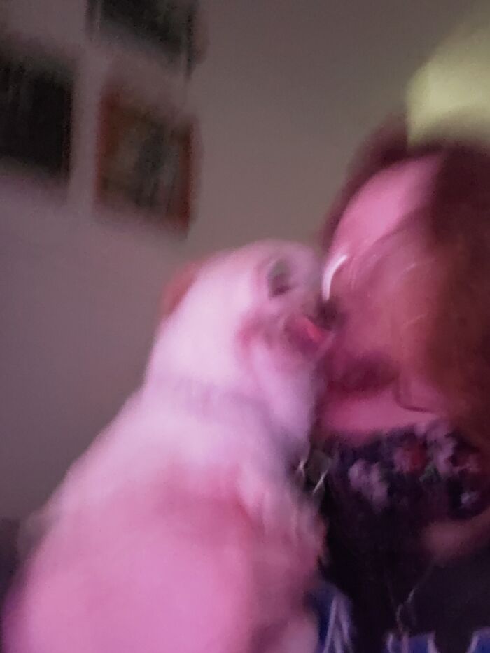 Hey Pandas, What’s The Worst Picture You’ve Taken Of An Animal? (Closed) Hey Pandas, What’s The Worst Picture You’ve Taken Of An Animal? (Closed)