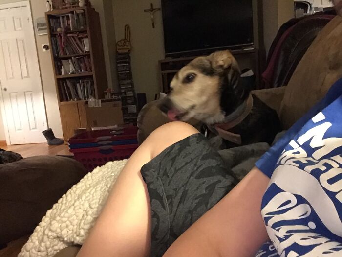 Hey Pandas, What’s The Worst Picture You’ve Taken Of An Animal? (Closed) Hey Pandas, What’s The Worst Picture You’ve Taken Of An Animal? (Closed)