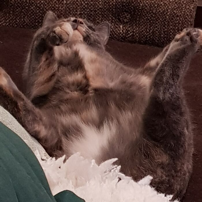 Hey Pandas, What’s The Worst Picture You’ve Taken Of An Animal? (Closed) Hey Pandas, What’s The Worst Picture You’ve Taken Of An Animal? (Closed)