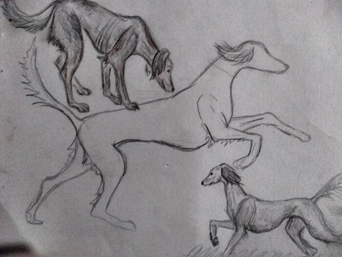 Hey Pandas, Draw Your Adorable Pets (Closed) Hey Pandas, Draw Your Adorable Pets (Closed)