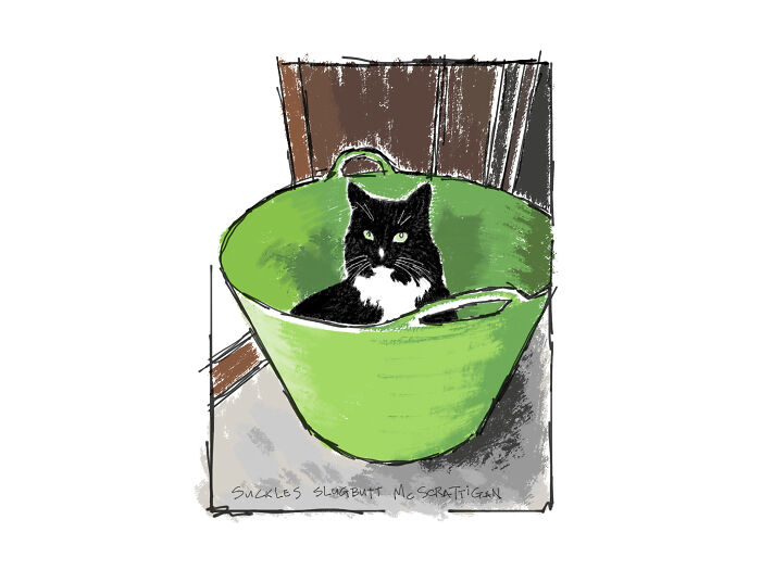 Hey Pandas, Draw Your Adorable Pets (Closed) Hey Pandas, Draw Your Adorable Pets (Closed)