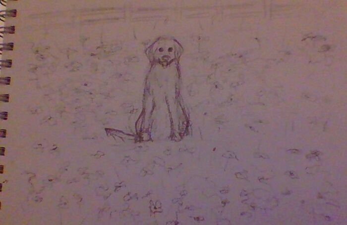 Hey Pandas, Draw Your Adorable Pets (Closed) Hey Pandas, Draw Your Adorable Pets (Closed)