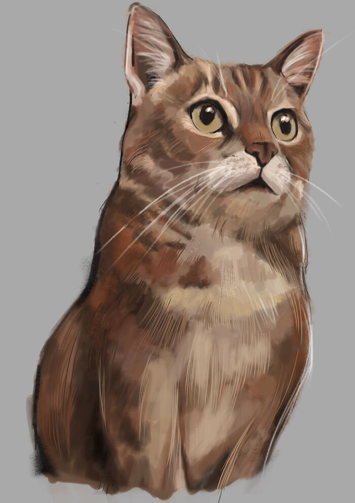 Hey Pandas, Draw Your Adorable Pets (Closed) Hey Pandas, Draw Your Adorable Pets (Closed)