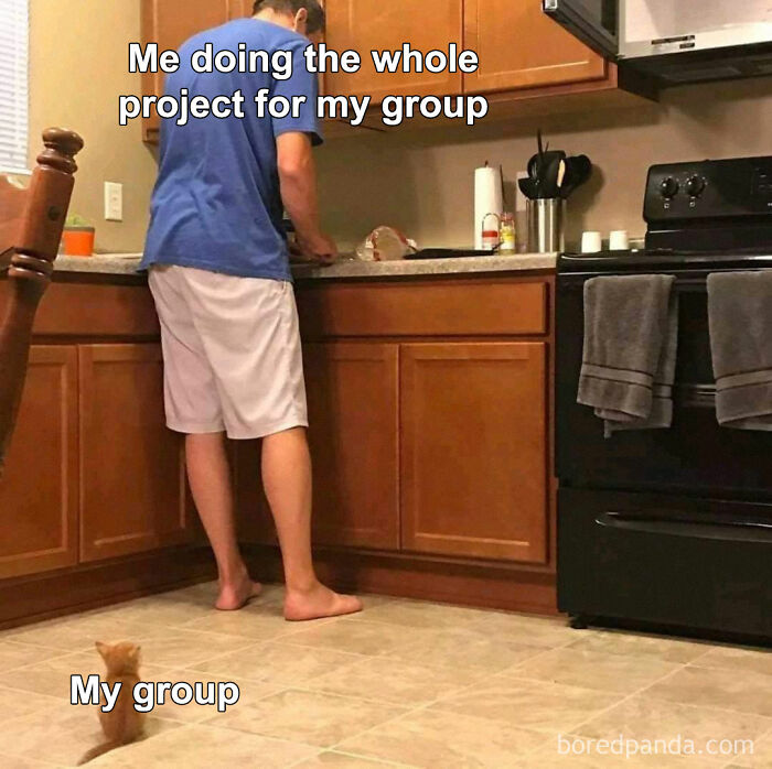 30 Times People Had Such Terrible Group Project Members, They Decided To Shame The Jerks Online 30 Times People Had Such Terrible Group Project Members, They Decided To Shame The Jerks Online