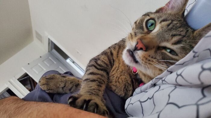 Hey Pandas, Take A Photo Of Your Pet (Closed) Hey Pandas, Take A Photo Of Your Pet (Closed)