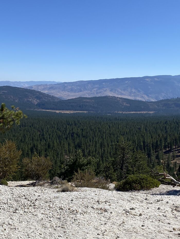 Hey Pandas, Use Pictures To Describe Your Day (Closed) Hey Pandas, Use Pictures To Describe Your Day (Closed)