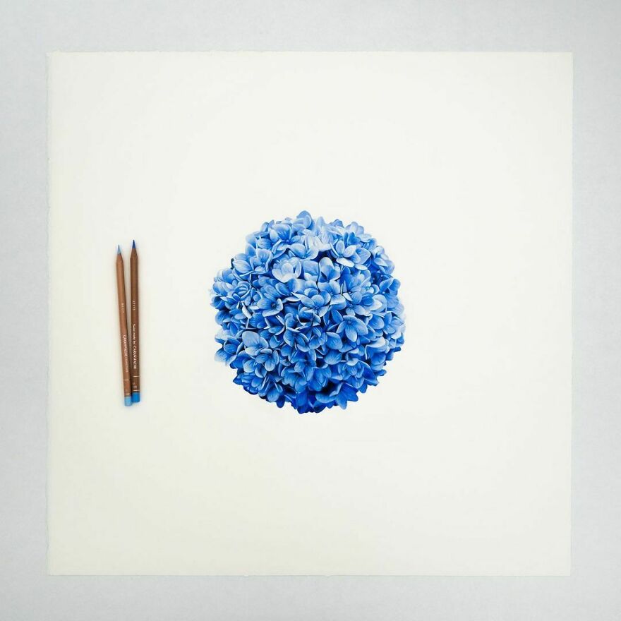 36 Mind-Boggling Hyperrealistic Pencil Drawings By Alessandro Paglia (New Pics) 36 Mind-Boggling Hyperrealistic Pencil Drawings By Alessandro Paglia (New Pics)