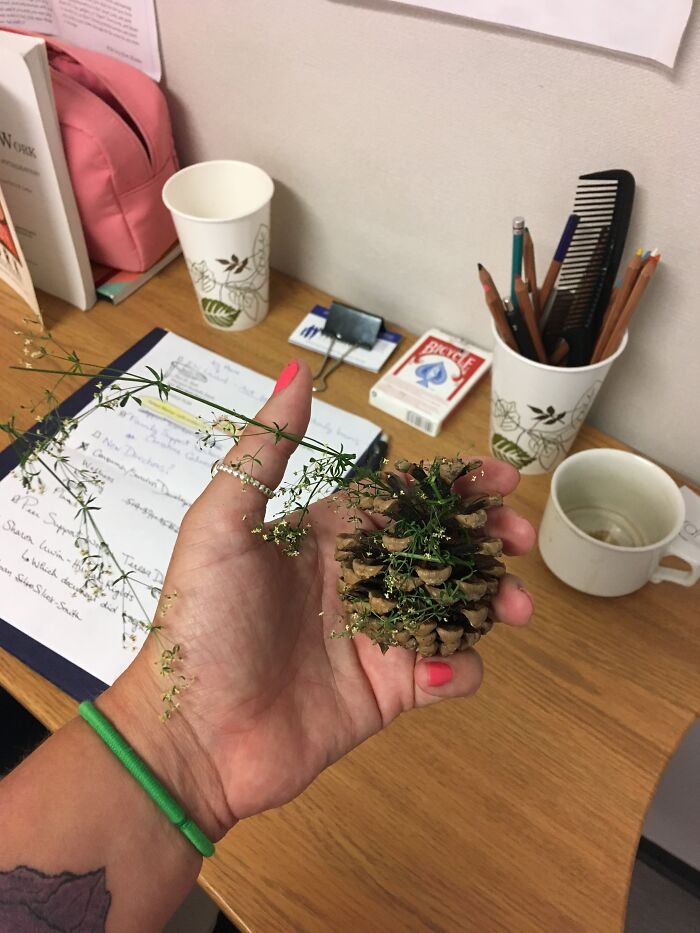 Pictures I Took While Hospitalized With Bipolar Disorder