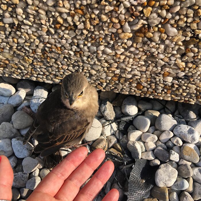 Pictures I Took While Hospitalized With Bipolar Disorder