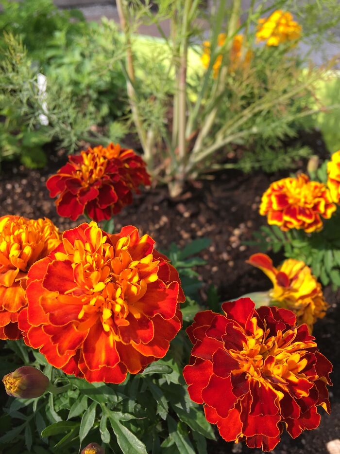 Pictures I Took While Hospitalized With Bipolar Disorder