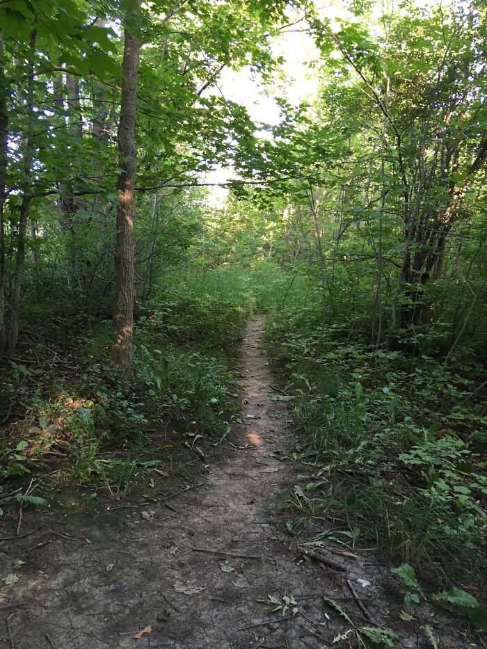 Pictures I Took While Hospitalized With Bipolar Disorder