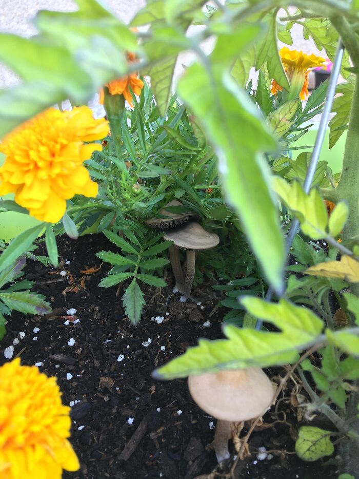 Pictures I Took While Hospitalized With Bipolar Disorder