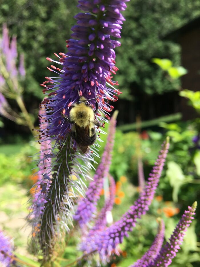 Pictures I Took While Hospitalized With Bipolar Disorder