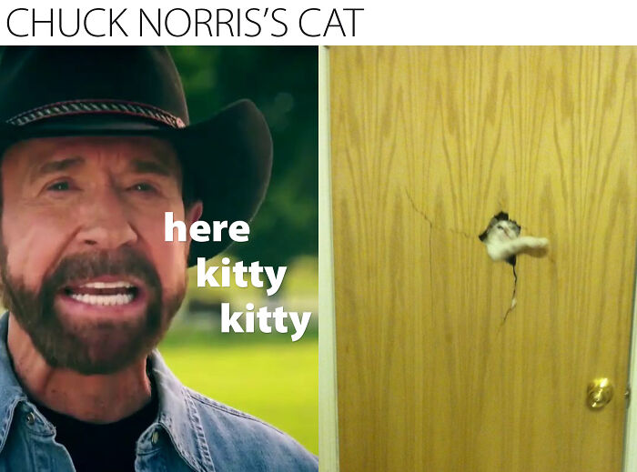 Hey Pandas, Post The Funniest Pet Meme You Can Find (Closed) Hey Pandas, Post The Funniest Pet Meme You Can Find (Closed)