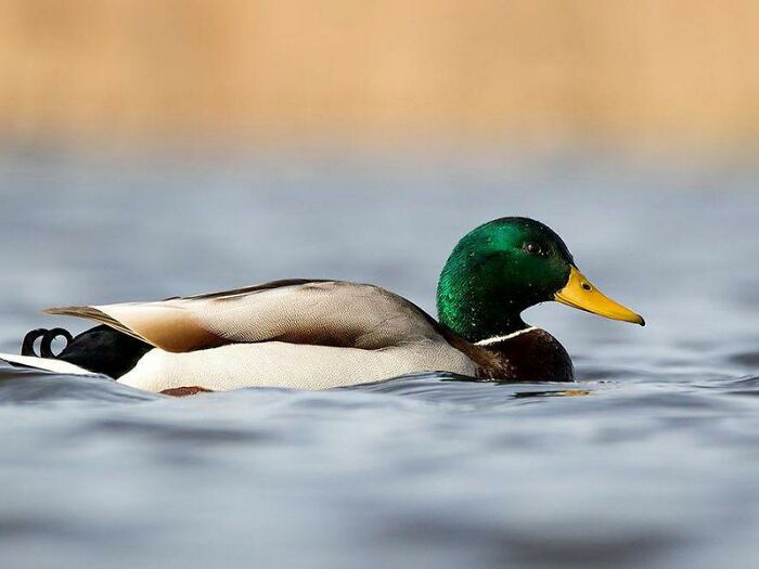 ‘Today I Learned’: 50 Interesting Things People Didn’t Learn At School (New Pics) ‘Today I Learned’: 50 Interesting Things People Didn’t Learn At School (New Pics)