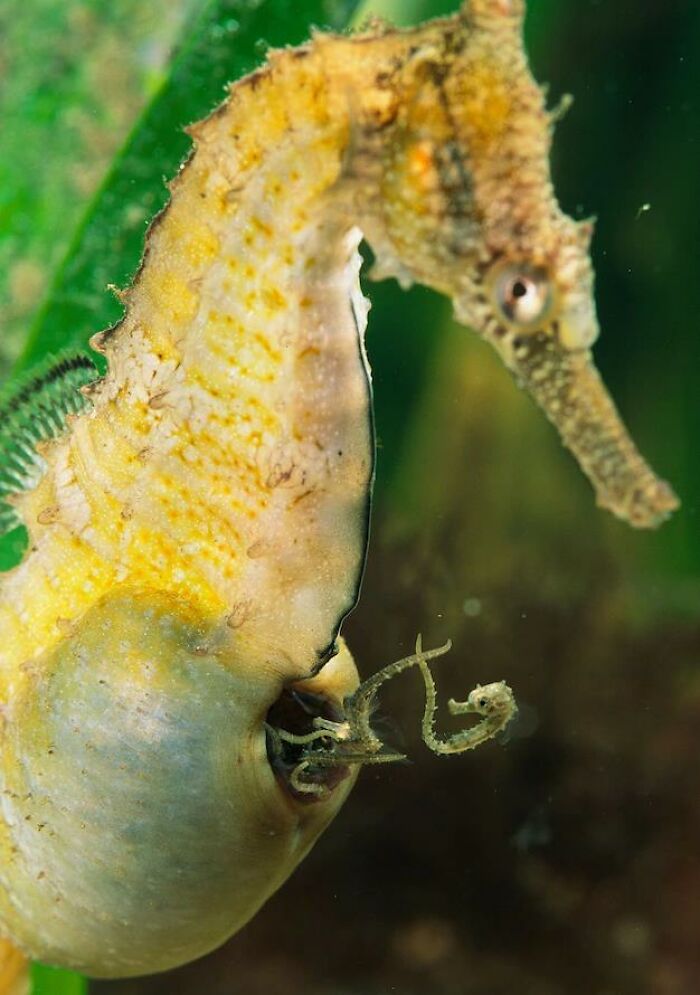 ‘Today I Learned’: 50 Interesting Things People Didn’t Learn At School (New Pics) ‘Today I Learned’: 50 Interesting Things People Didn’t Learn At School (New Pics)