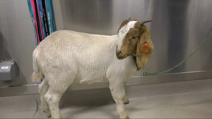 ‘Today I Learned’: 50 Interesting Things People Didn’t Learn At School (New Pics) ‘Today I Learned’: 50 Interesting Things People Didn’t Learn At School (New Pics)