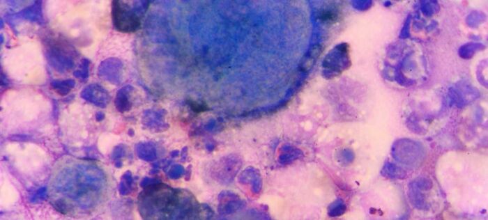 ‘Today I Learned’: 50 Interesting Things People Didn’t Learn At School (New Pics) ‘Today I Learned’: 50 Interesting Things People Didn’t Learn At School (New Pics)