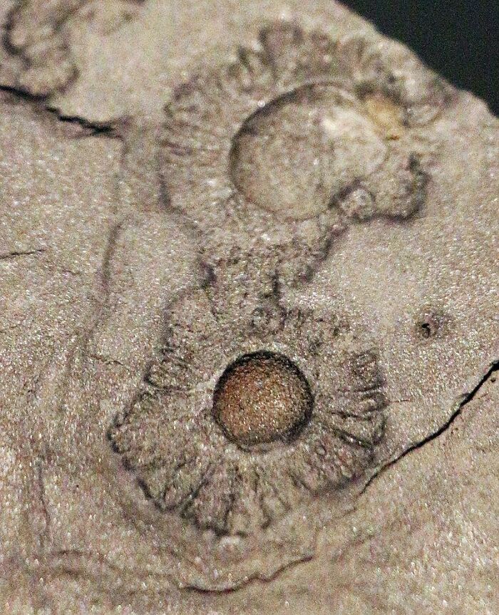 ‘Today I Learned’: 50 Interesting Things People Didn’t Learn At School (New Pics) ‘Today I Learned’: 50 Interesting Things People Didn’t Learn At School (New Pics)