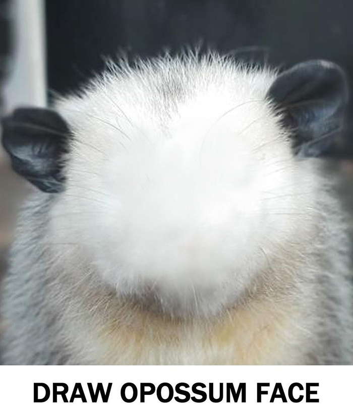 Hey Pandas, Draw A Face For This Opossum (Closed) Hey Pandas, Draw A Face For This Opossum (Closed)