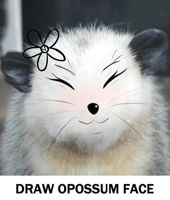 Hey Pandas, Draw A Face For This Opossum (Closed) Hey Pandas, Draw A Face For This Opossum (Closed)