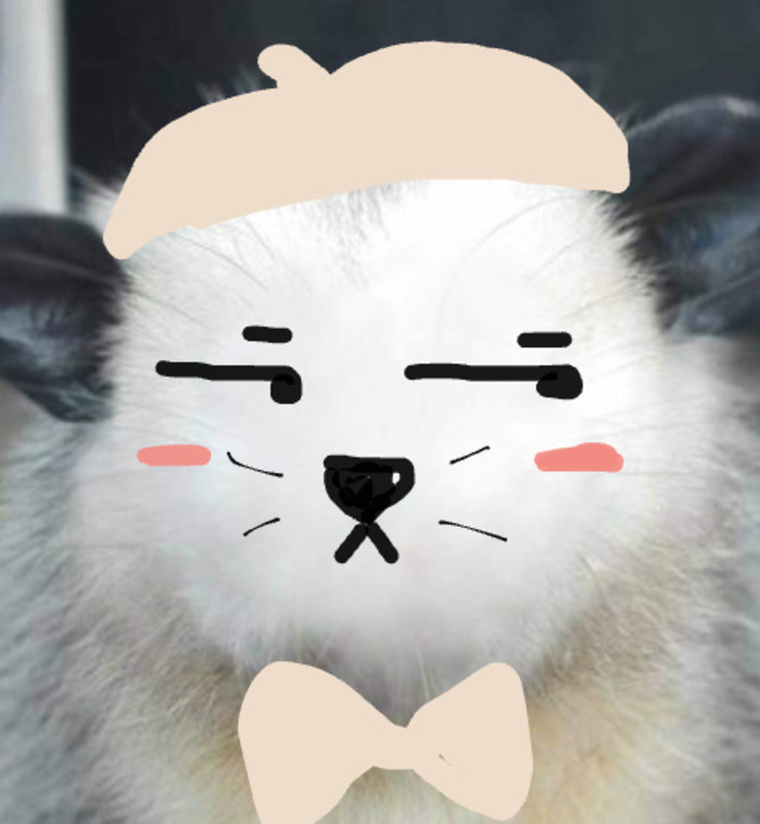 Hey Pandas, Draw A Face For This Opossum (Closed) Hey Pandas, Draw A Face For This Opossum (Closed)