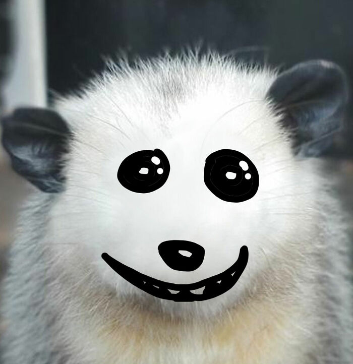 Hey Pandas, Draw A Face For This Opossum (Closed) Hey Pandas, Draw A Face For This Opossum (Closed)