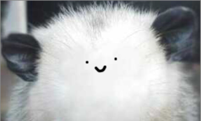 Hey Pandas, Draw A Face For This Opossum (Closed) Hey Pandas, Draw A Face For This Opossum (Closed)