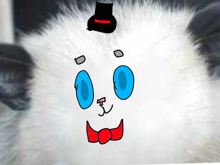 Hey Pandas, Draw A Face For This Opossum (Closed) Hey Pandas, Draw A Face For This Opossum (Closed)