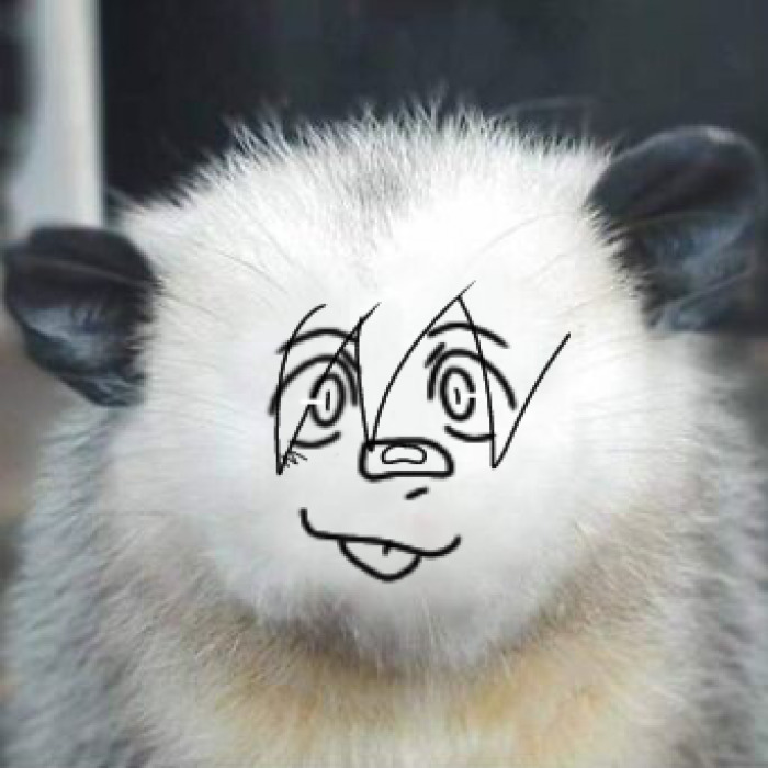 Hey Pandas, Draw A Face For This Opossum (Closed) Hey Pandas, Draw A Face For This Opossum (Closed)