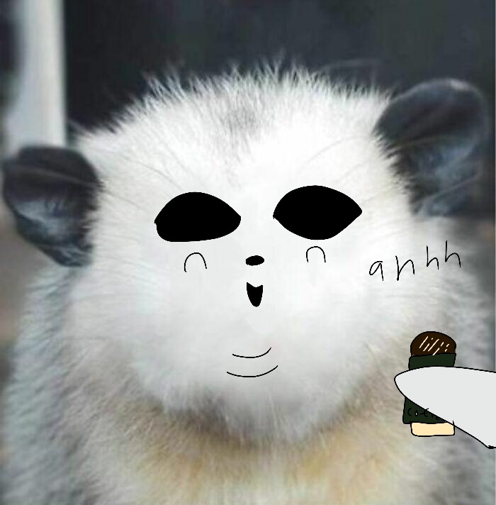 Hey Pandas, Draw A Face For This Opossum (Closed) Hey Pandas, Draw A Face For This Opossum (Closed)