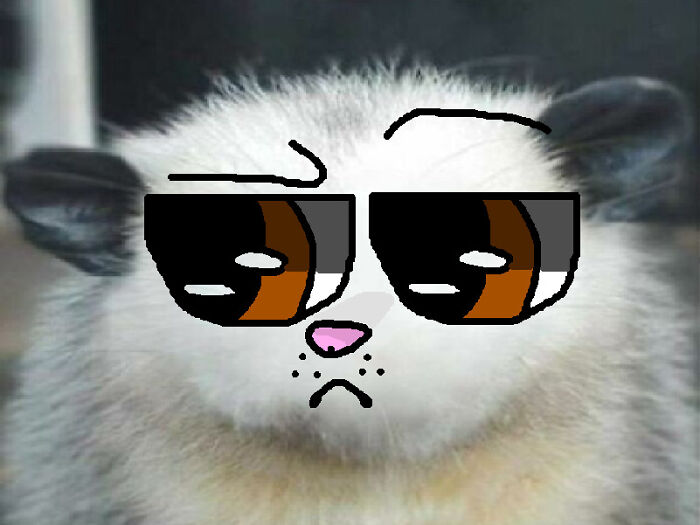 Hey Pandas, Draw A Face For This Opossum (Closed) Hey Pandas, Draw A Face For This Opossum (Closed)