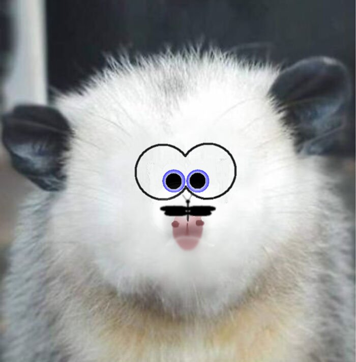 Hey Pandas, Draw A Face For This Opossum (Closed) Hey Pandas, Draw A Face For This Opossum (Closed)
