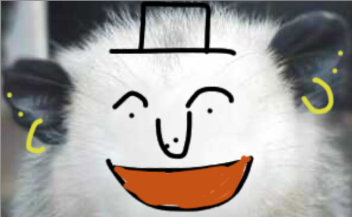 Hey Pandas, Draw A Face For This Opossum (Closed) Hey Pandas, Draw A Face For This Opossum (Closed)