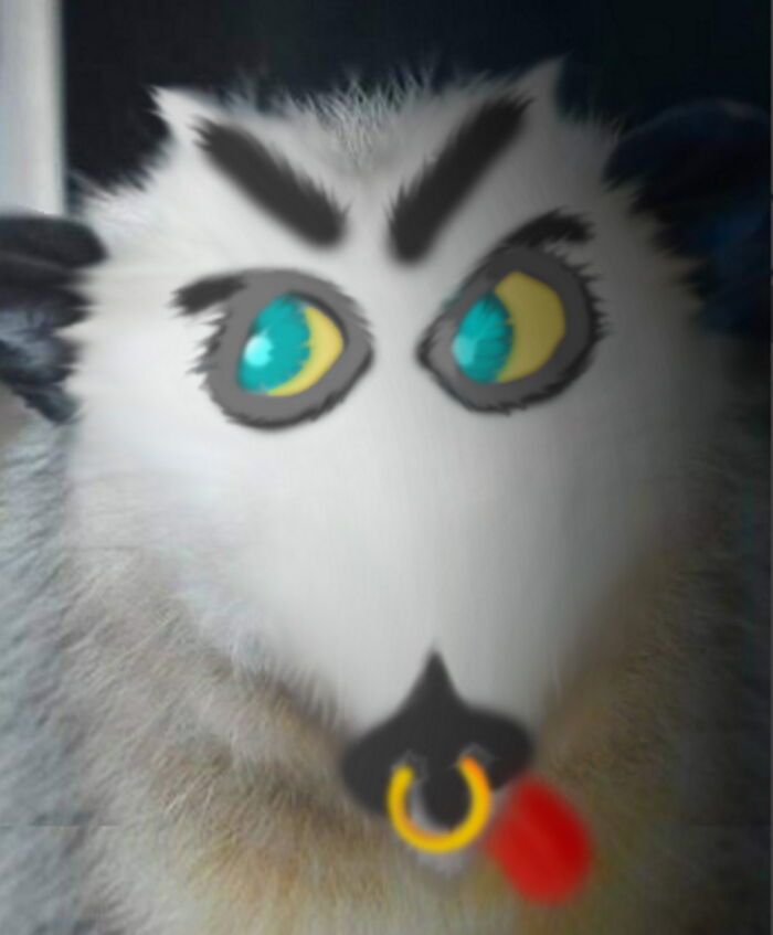 Hey Pandas, Draw A Face For This Opossum (Closed) Hey Pandas, Draw A Face For This Opossum (Closed)