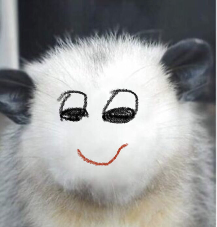 Hey Pandas, Draw A Face For This Opossum (Closed) Hey Pandas, Draw A Face For This Opossum (Closed)