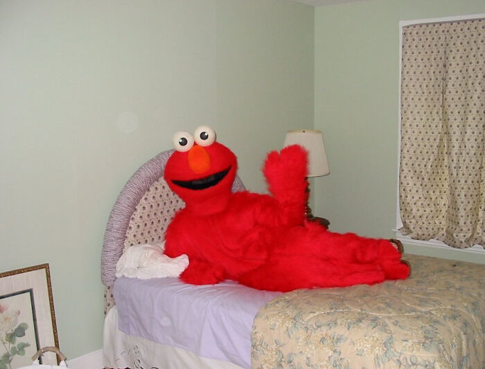 Hey Pandas, Please Give Me Your Most Cursed Images (Closed) Hey Pandas, Please Give Me Your Most Cursed Images (Closed)