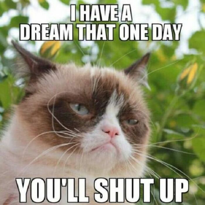 Hey Pandas, Post Some Grumpy Cat Memes (Closed) Hey Pandas, Post Some Grumpy Cat Memes (Closed)