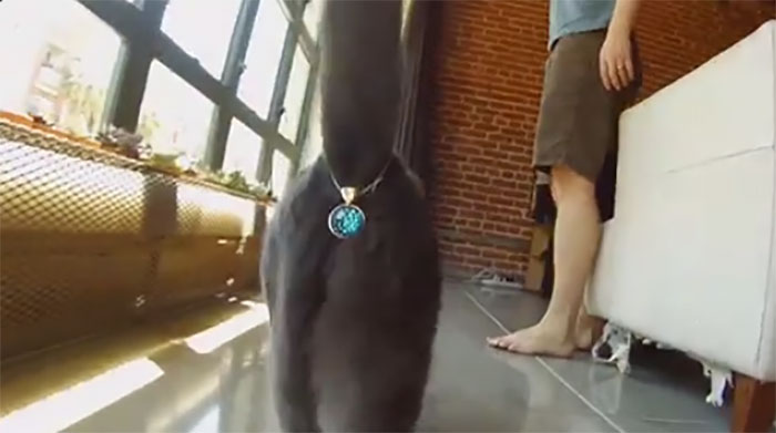 Twitter’s Sharing “Stuff That Should Not Exist” And Here Are 40 Of The Best Tweets About It Twitter’s Sharing “Stuff That Should Not Exist” And Here Are 40 Of The Best Tweets About It