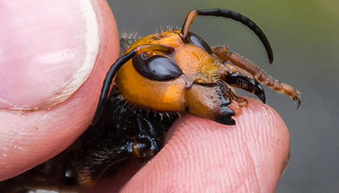 Twitter’s Sharing “Stuff That Should Not Exist” And Here Are 40 Of The Best Tweets About It Twitter’s Sharing “Stuff That Should Not Exist” And Here Are 40 Of The Best Tweets About It