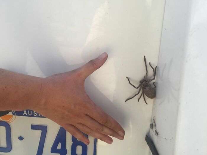 Twitter’s Sharing “Stuff That Should Not Exist” And Here Are 40 Of The Best Tweets About It Twitter’s Sharing “Stuff That Should Not Exist” And Here Are 40 Of The Best Tweets About It