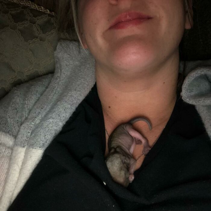 Woman Finds A Baby Squirrel On The Sidewalk And Gives Him A Second Chance At Life; Two Years Later, He Still Visits Her Garden Woman Finds A Baby Squirrel On The Sidewalk And Gives Him A Second Chance At Life; Two Years Later, He Still Visits Her Garden