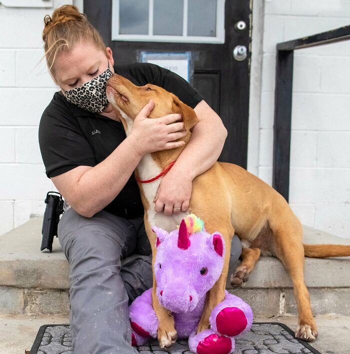 A Stray Dog Who Kept Trying To Steal A Purple Unicorn From A Store Gets A Toy And A Forever Home A Stray Dog Who Kept Trying To Steal A Purple Unicorn From A Store Gets A Toy And A Forever Home